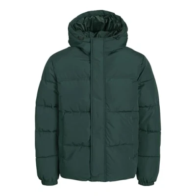 Image of Jack &amp; Jones Jjebradley Winter jacket, Men&#039;s, Size: XS, Magical forest