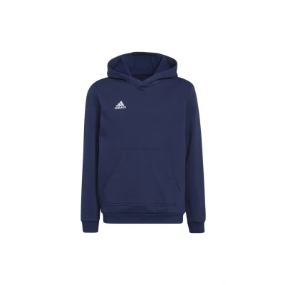 Image of adidas Performance Entrada 22 Hoodie Team navy blue for kids, Size: 15 16y,