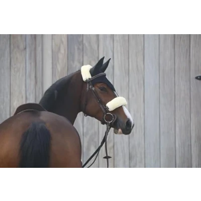 Image of Kentucky Fly Veil
