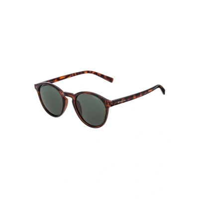 Image of Polaroid PLD 1013/S Havana sunglasses Polarised