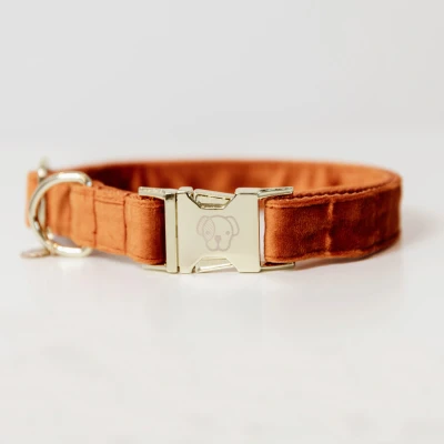 Image of Kentucky Dog Collar Velvet