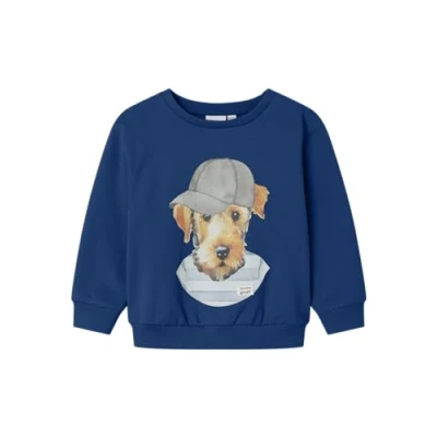 Image of Name it Nmmbasse Sweatshirt for kids, Size: 4y, Limoges