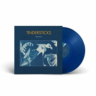 Image of DISTRACTIONS (BLUE VINYL) [VINYL]