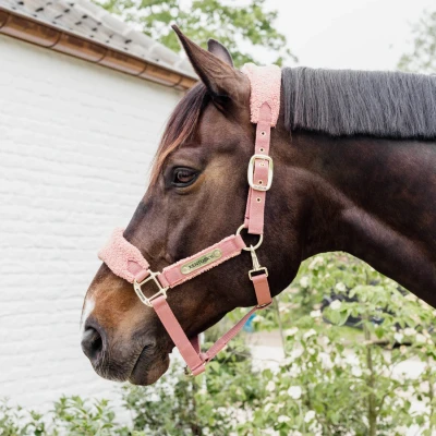 Image of Kentucky Teddy Fleece Halter
