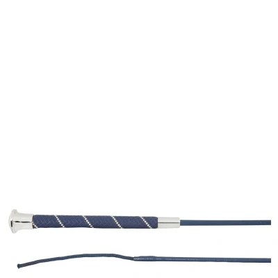 Image of BR dressage whip Andromeda