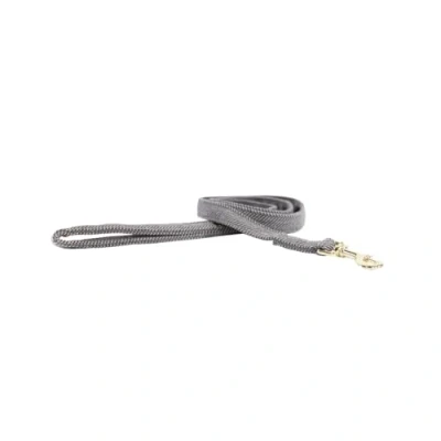 Image of Kentucky Dog Lead Wool