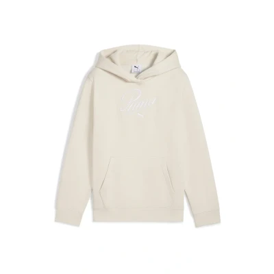 Image of Puma ESS Script Hoodie for kids, Size: 16y (15 16y), Alpine snow