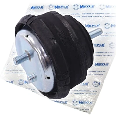 Image of Engine Mounting MEYLE 300 118 1107