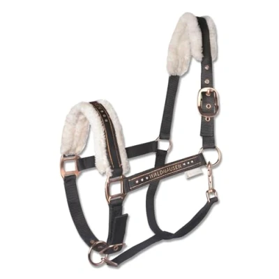 Image of Waldhausen Halter Elegant, Black/Rose Gold, WB