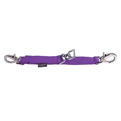 Image of QHP lunge coupler