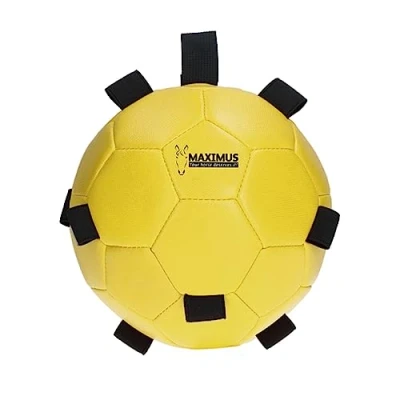 Image of Maximus Fun Play Ball