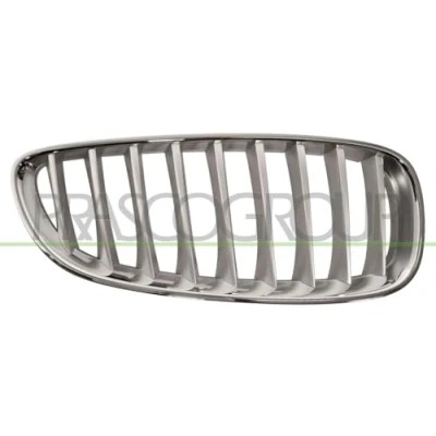 Image of Radiator Grille BLIC 6502 07 0089998P