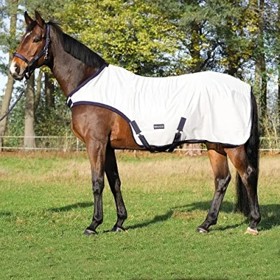 Image of Busse Walker rug Fly Comfort