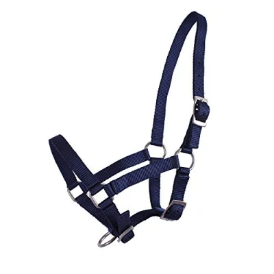 Image of QHP Halter Foal