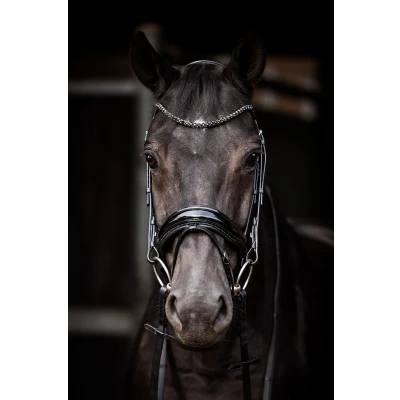 Image of HB Showtime Bridle Evalira