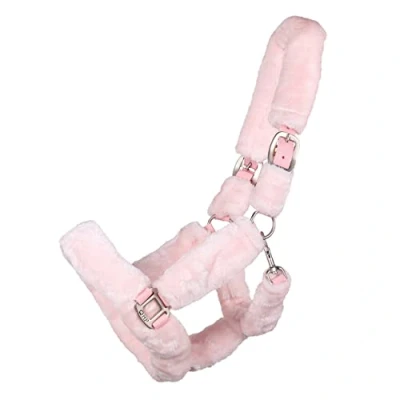 Image of QHP Halter Alaska