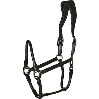 Image of Catago Leather halter