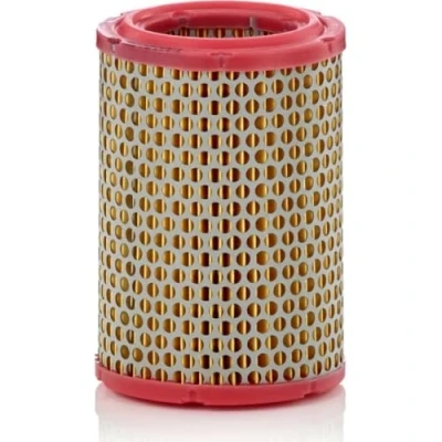 Image of Air FILTER MANN C 1134/1