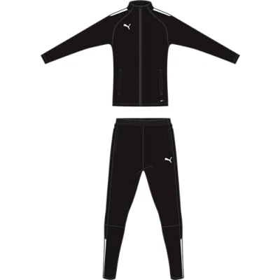 Image of Puma Teamliga Tracksuit Tracksuit, Men&#039;s, Size: XL, Black/white