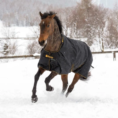 Image of Bucas Irish Turnout Light Big Neck