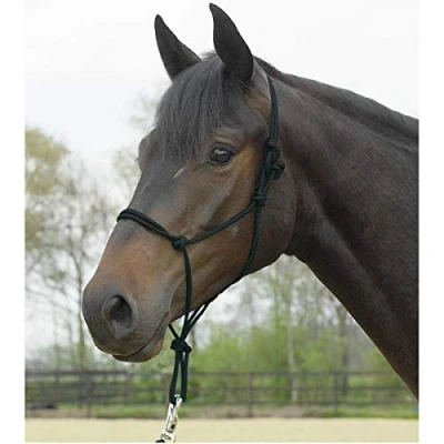 Image of Busse Rope halter Standard