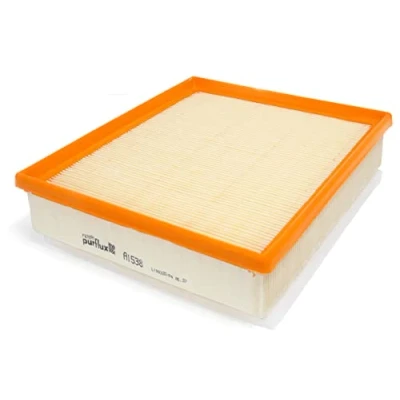Image of Air Filter PURFLUX A1538