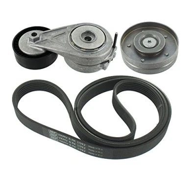 Image of V Ribbed Belt Set SKF VKMA 31310