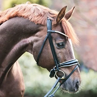 Image of Kavalkade Bridle Fortuna