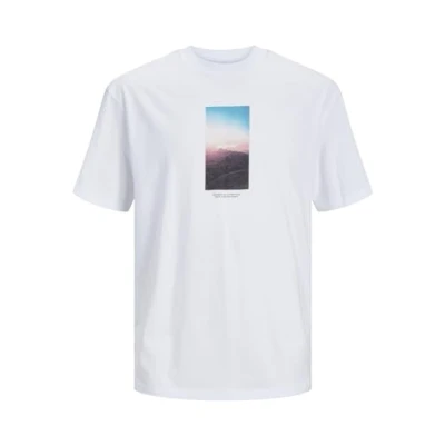 Image of Jack &amp; Jones Vesterbro Picture Shirt Men S, White Blue Pink Black, S