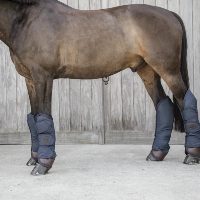 Image of Kentucky Horsewear Travel Boots Horse Riding Equestrian