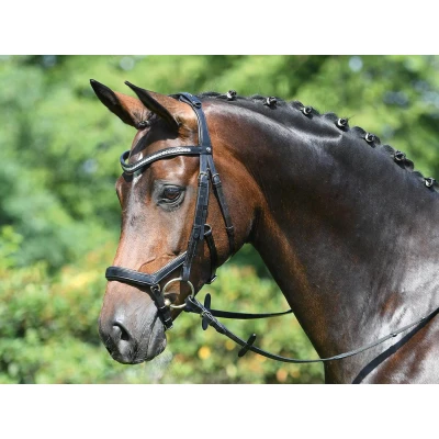 Image of Busse bridle Modena