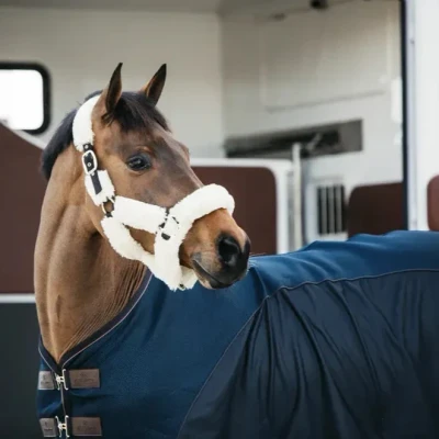 Image of Kentucky Halter Fur Transport Natural