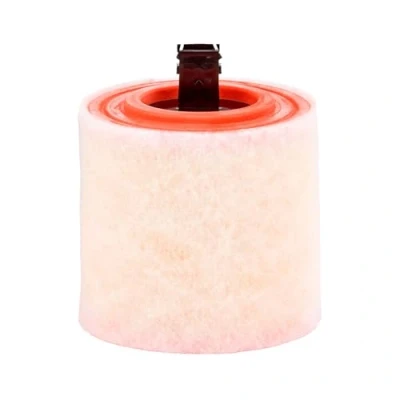 Image of Air FILTER MANN C 16 012