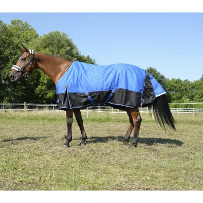Image of EQUI THÈME Tyrex 1200D rug &#039;Aisance&#039;