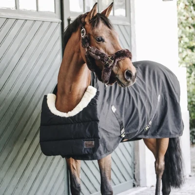 Image of Kentucky Horsewear Horse Bib Winter Black Equestrian