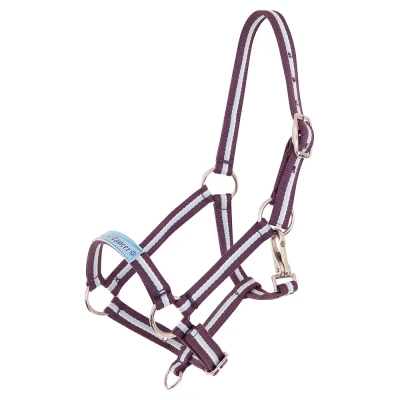 Image of Premiere Halter Foal Fun