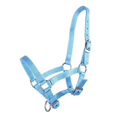 Image of QHP Halter Foal