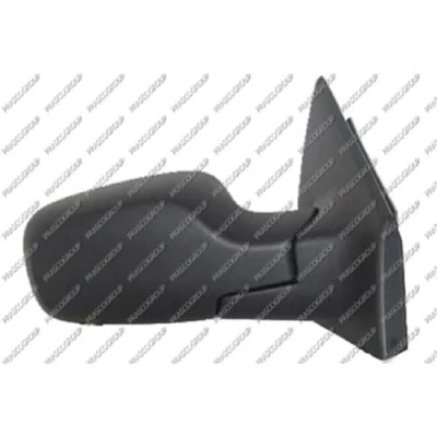 Image of Exterior Mirror PRASCO RN3257313P