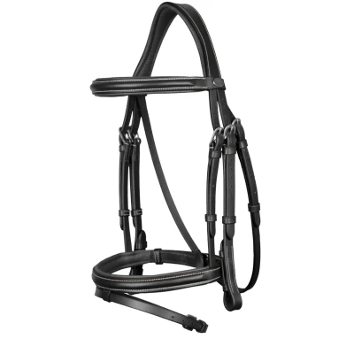 Image of Dyon bridle Flash
