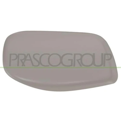 Image of Cover, exterior mirror PRASCO BM0467414