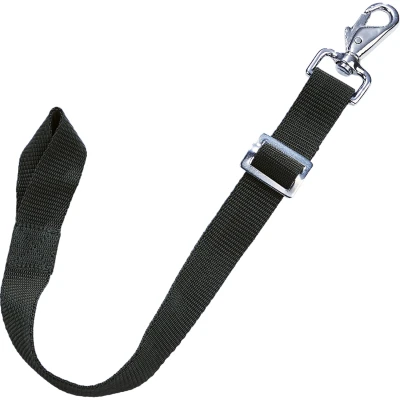 Image of Busse Tail Cord Standard