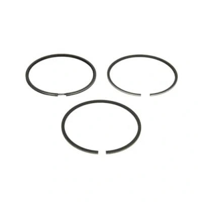 Image of Piston Ring Kit KOLBENSCHMIDT 800051610050