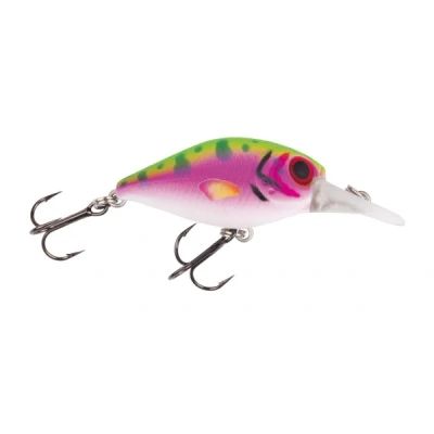 Image of Jackson Barschwobbler Rainbow Trout 5,3cm (8g) Hard lure