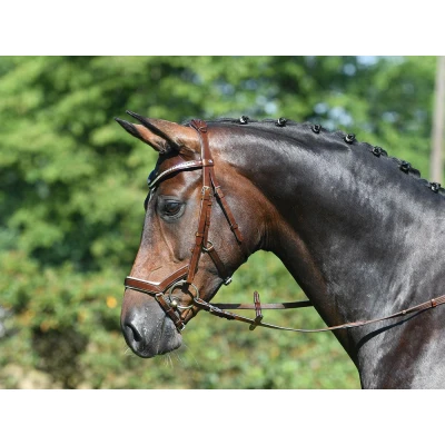 Image of Busse bridle Modena