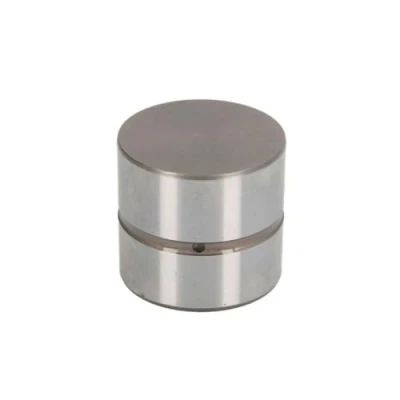 Image of Tappet INA 420 0105 10
