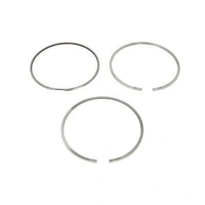 Image of Piston Ring Kit KOLBENSCHMIDT 800108810000