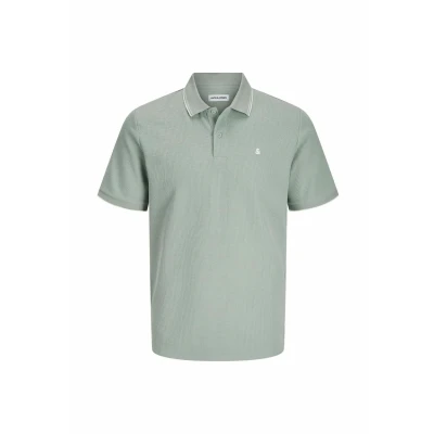 Image of JACK&amp;JONES PLUS Jjeaustin Polo SS Noos PLS, Iceberg Green/Detail:play, 6XL Große Größen