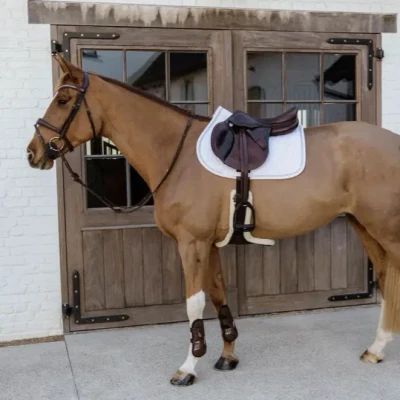 Image of Kentucky Horsewear Glitter Rope Saddle Pad White Horse Riding Equestrian