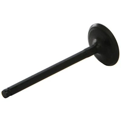 Image of Intake Valve AE V94101