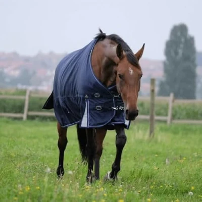 Image of Equithème PRO series &#039;Tyrex 168D&#039; Turnout Rug 0g